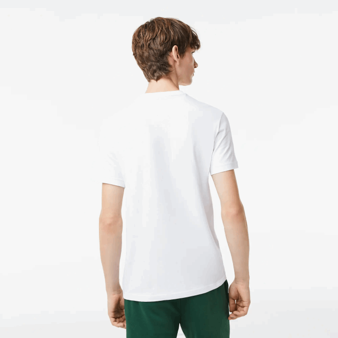 blanc 001 V6HV106 Hommes Lacoste t-shirt coupe classique en jersey
