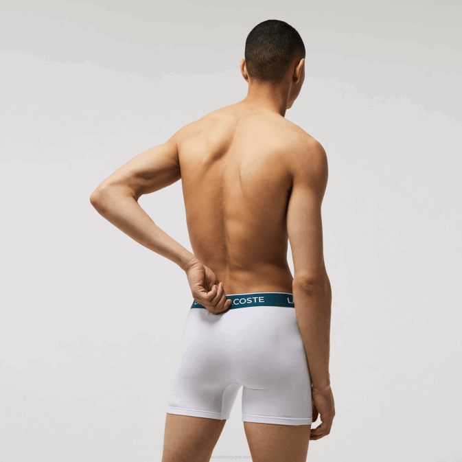 blanc 001 V6HV1405 Hommes Lacoste Lot de 3 boxers longs en coton stretch