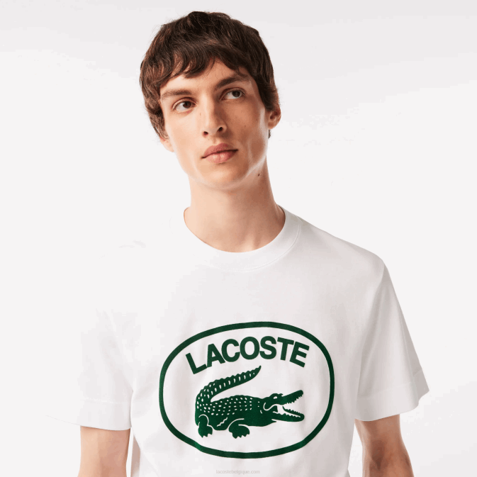 blanc vert 737 V6HV132 Hommes Lacoste t-shirt coupe décontractée en coton ton sur ton avec logo