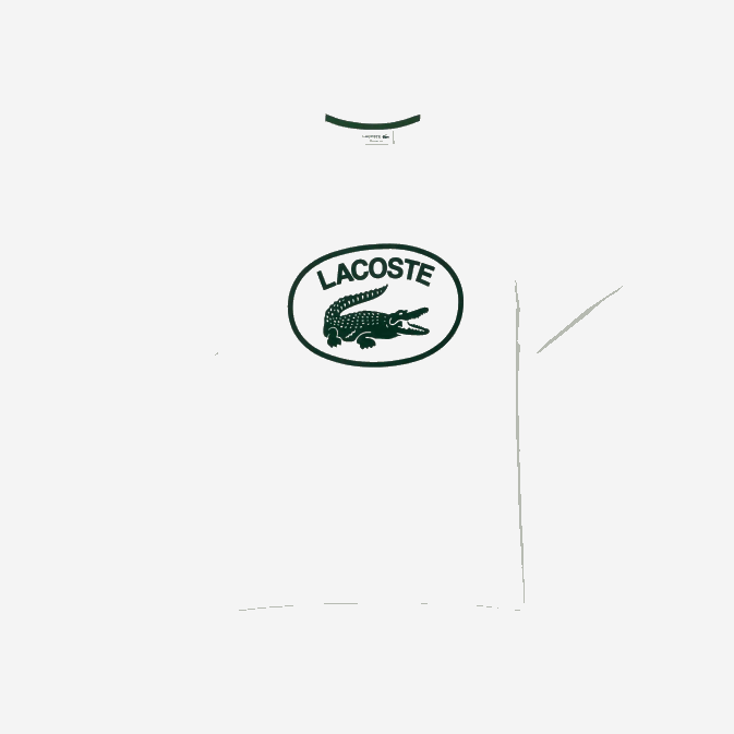 blanc vert 737 V6HV132 Hommes Lacoste t-shirt coupe décontractée en coton ton sur ton avec logo
