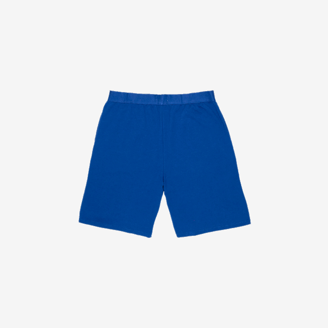 bleu blanc emj V6HV1512 Hommes Lacoste short d\intérieur en molleton de coton de marque