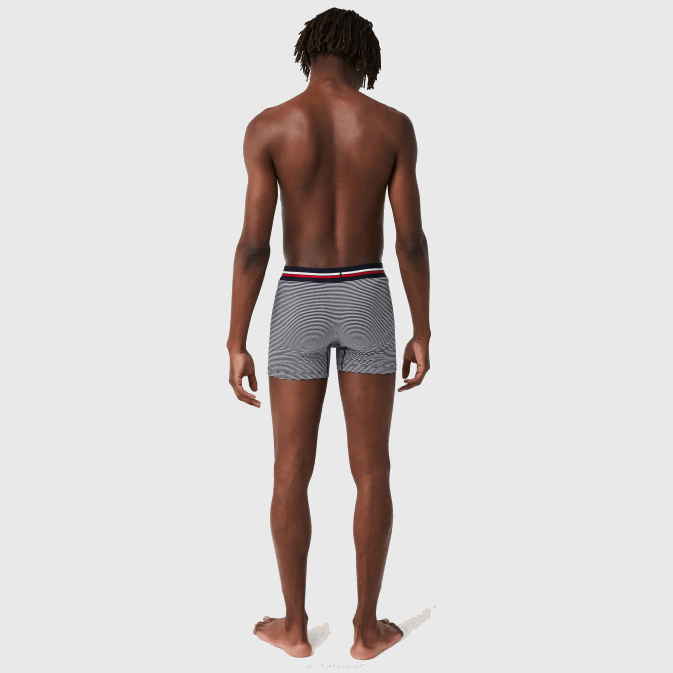 bleu marine blanc 525 V6HV1424 Hommes Lacoste Lot de 3 boxers longs en jersey de coton stretch