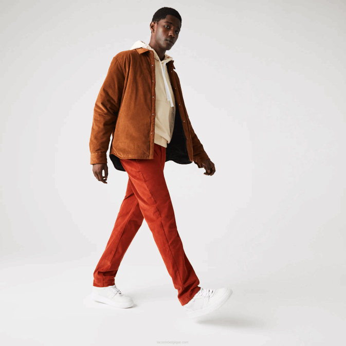 marron ql2 V6HV1643 Hommes Lacoste pantalon droit en velours côtelé
