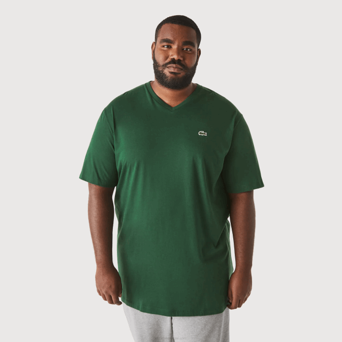 vert 132 V6HV823 Hommes Lacoste polo regular fit en coton côtelé à col en V (grande taille)