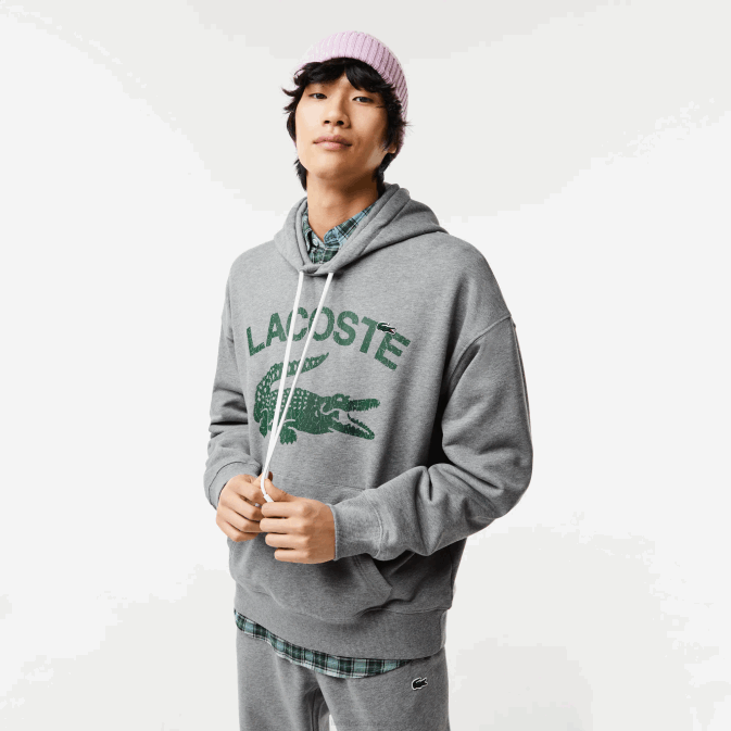 cour de chine grise V6HV969 Hommes Lacoste sweat ample à capuche crocodile