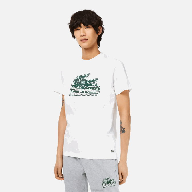 blanc 001 V6HV63 Hommes Lacoste t-shirt imprimé en jersey de coton
