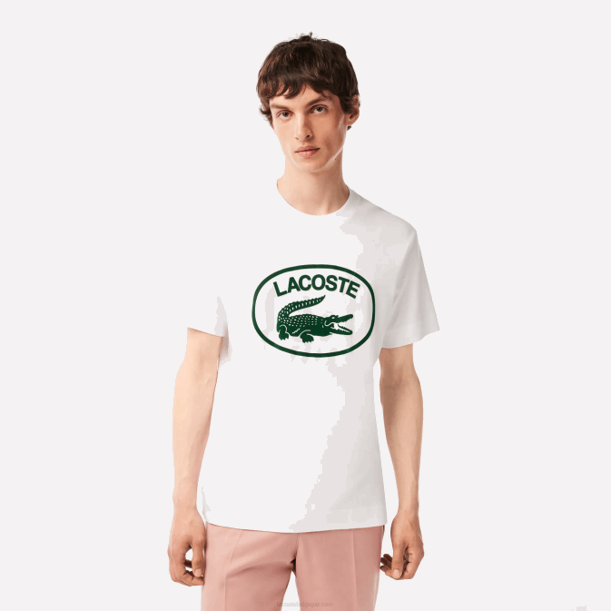blanc vert 737 V6HV132 Hommes Lacoste t-shirt coupe décontractée en coton ton sur ton avec logo