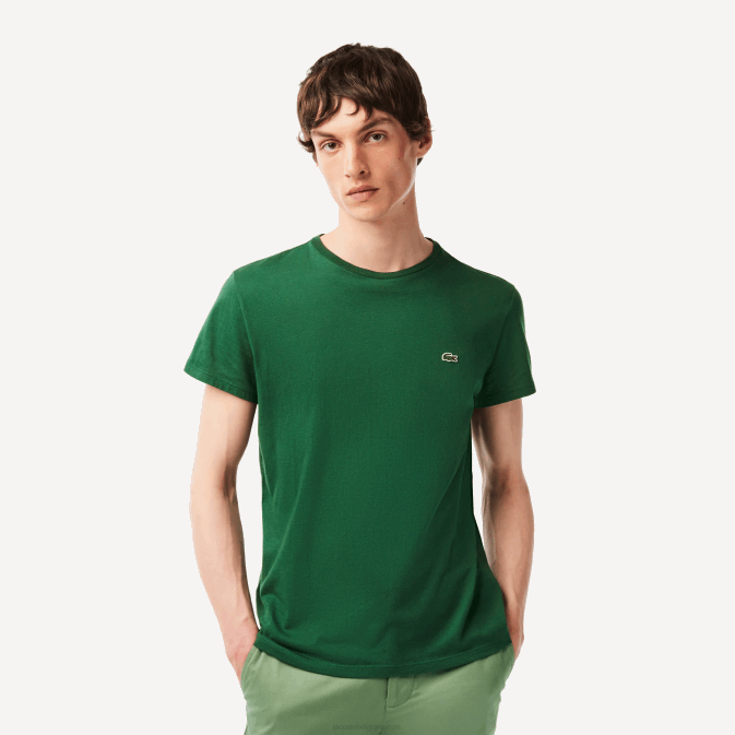 vert 132 V6HV618 Hommes Lacoste t-shirt en jersey de coton pima à col rond