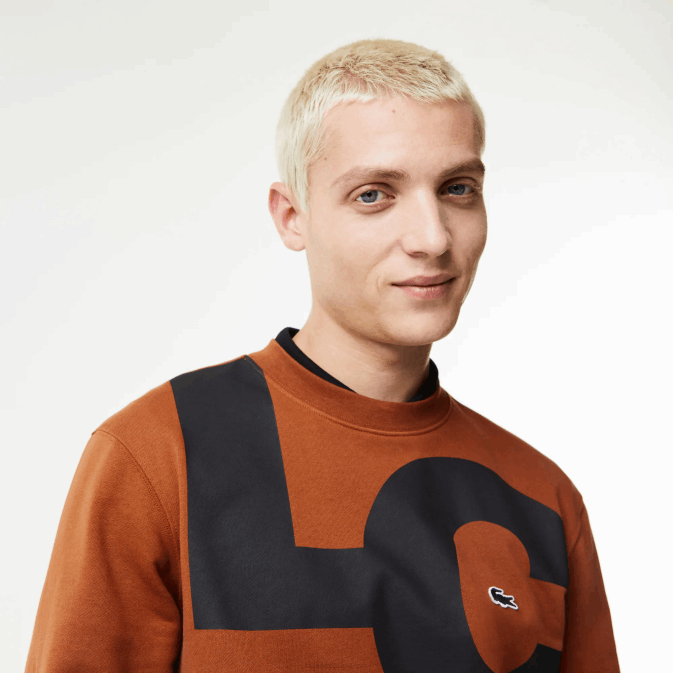 marron 3pb V6HV1040 Hommes Lacoste sweat-shirt en coton à lettres contrastées coupe classique