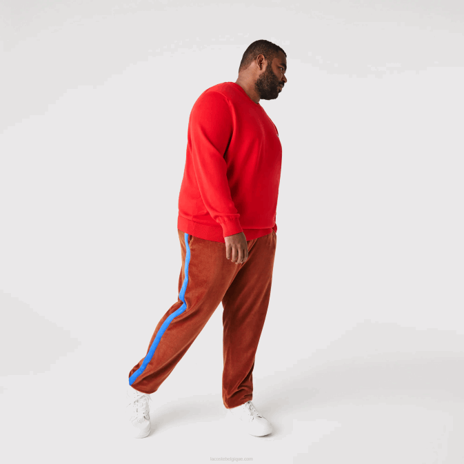 marron 3pb V6HV1104 Hommes Lacoste pantalon de survêtement à bande contrastante