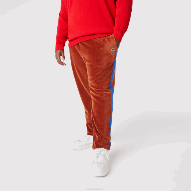 marron 3pb V6HV1104 Hommes Lacoste pantalon de survêtement à bande contrastante