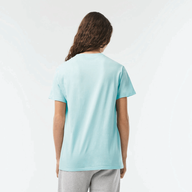 menthe lgf V6HV112 Hommes Lacoste t-shirt en jersey de coton pima à col rond